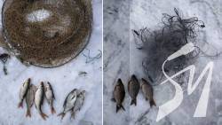 ������������ ������������� �������� �� ���� ������� ��� ��������� ������ ���������� � �������� ���